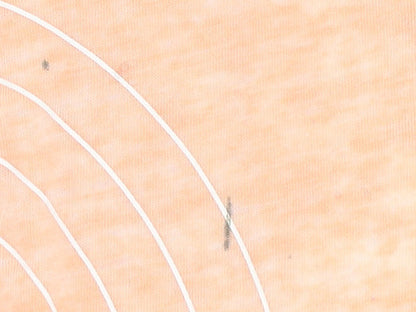 Animal Women's Orange T-Shirt Size 16