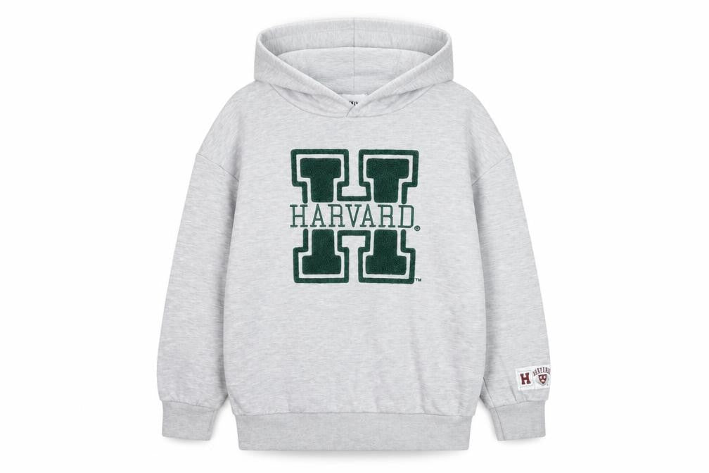 Front view of Harvard boys’ grey hoodie, 11-12 years, pull-over, fleece