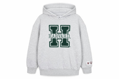 Front view of Harvard boys’ grey hoodie, 11-12 years, pull-over, fleece