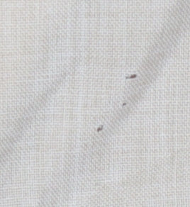 C too tailoring Beige Women's Blazer Size 12