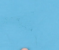 Vans Men's Blue Small Classic Fit T-Shirt