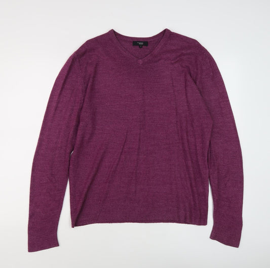 Thomas Nash Men's Purple V-Neck Pullover Jumper S