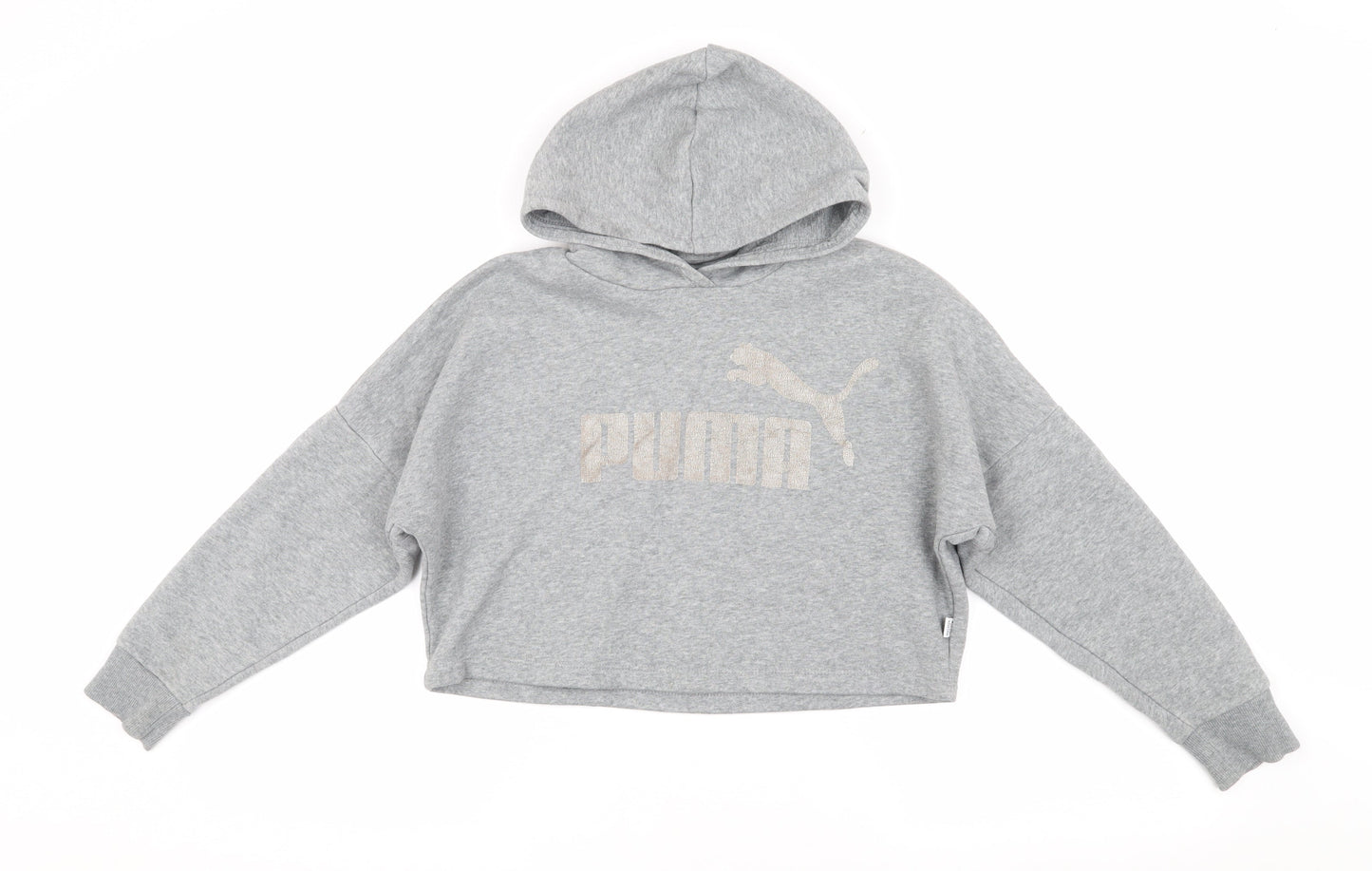 Puma Girls Grey Hoodie, 10 Years, Pullover Style, Logo