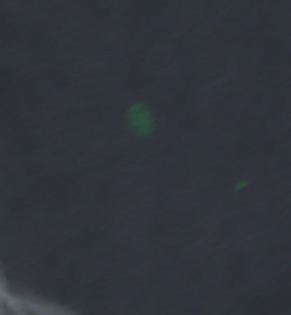 Nike Men's Black XL Crew Neck T-Shirt