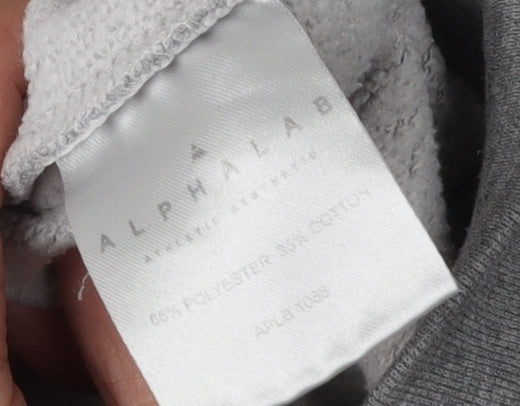 ALPHALAB Grey Mens L Pullover Sweatshirt