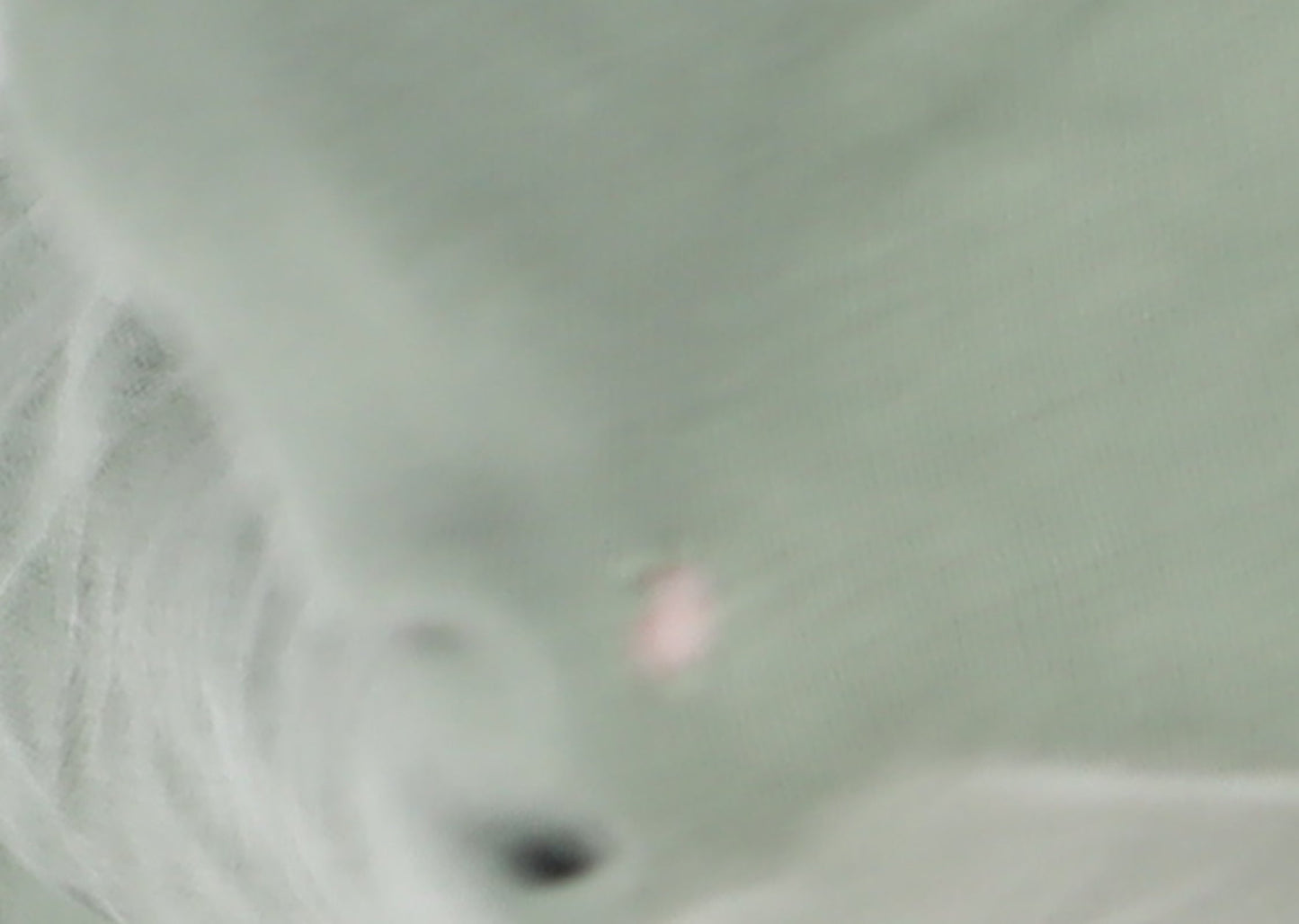 Adidas Men's Green M T-Shirt Regular Fit