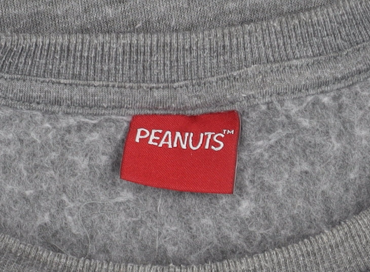 Peanuts Girls' Grey Snoopy Sweatshirt, 9 Years, Pullover Style
