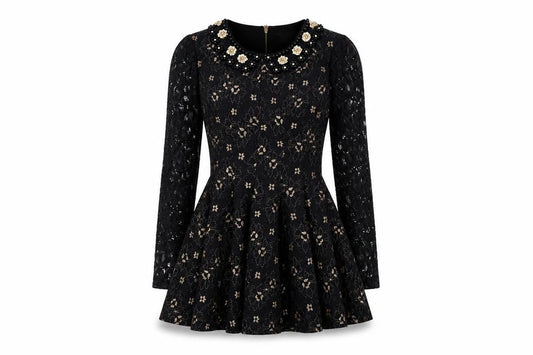 Darcy Women's Black XS Fit & Flare Floral Lace Dress