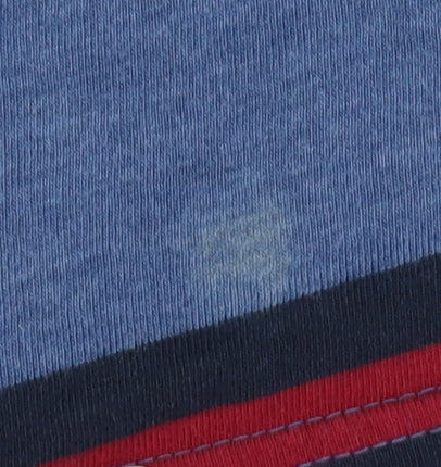 Pierre Cardin Men's Blue Striped Polo Shirt S