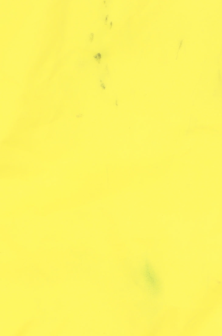 Womens UK Size 16 Regatta Yellow Rain Coat