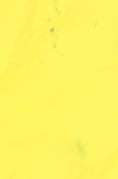 Womens UK Size 16 Regatta Yellow Rain Coat