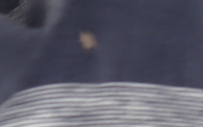 Brave Soul Men's XL Blue Striped Polo Shirt