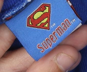 Superman Men's Blue Pullover Logo Hoodie L