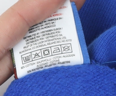 Superman Men's Blue Pullover Logo Hoodie L