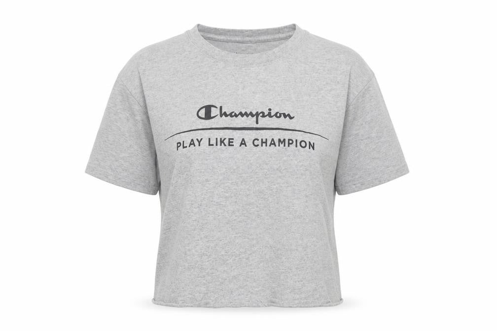 Unisex Adults UK Size S Champion Grey Basic T-Shirt