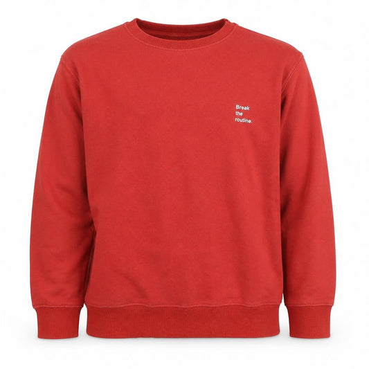 Zara Boys Red Pullover Sweatshirt 11-12 Years Long Sleeve