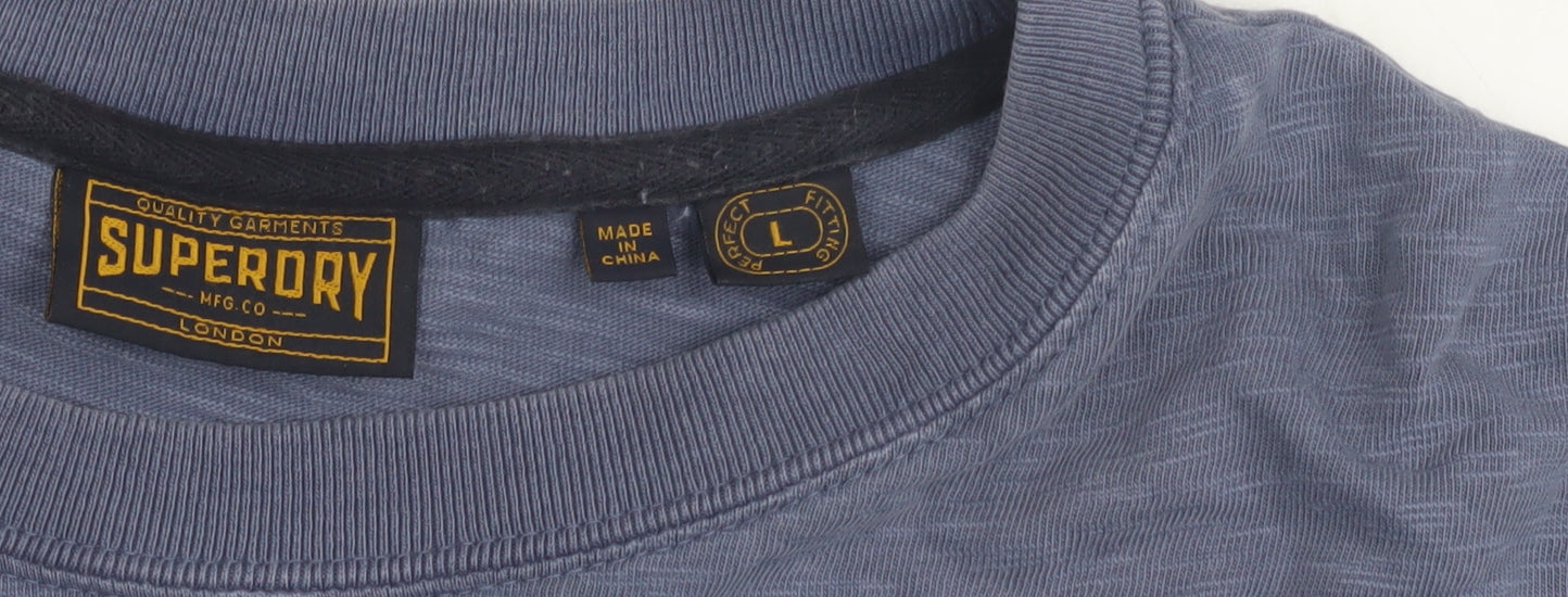 Superdry Mens Blue Graphic Print T-Shirt L