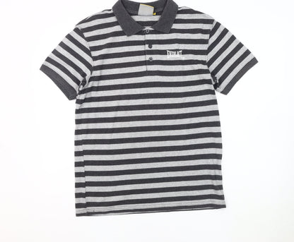 Everlast Men's Grey Striped Polo M, Breathable