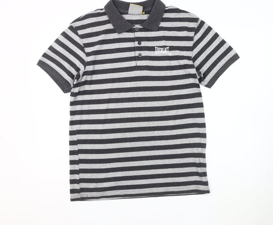 Everlast Men's Grey Striped Polo M, Breathable