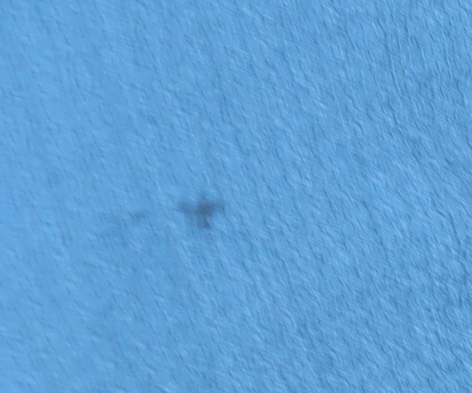 Damart Women's Blue Knit Top, XL, Ruffle Accent