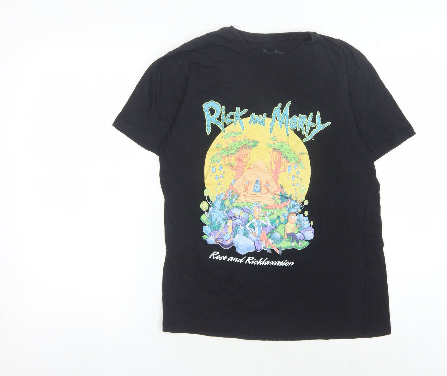 Rick and Morty Men's Black S Cartoon T-Shirt