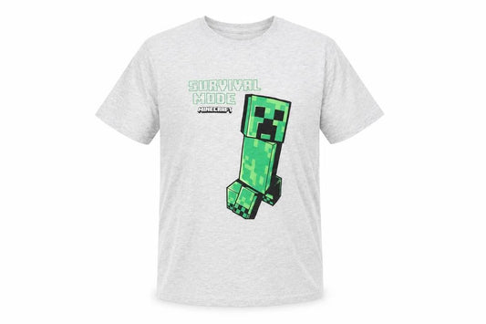 Minecraft Boys Grey T-Shirt 13-14 Years Graphic Print