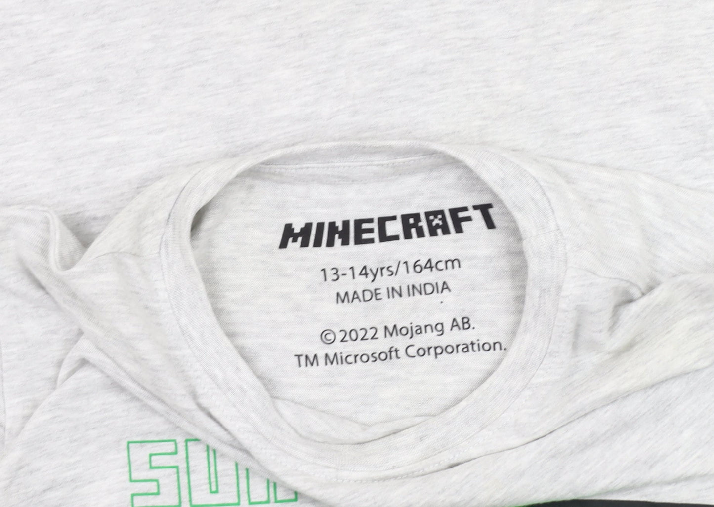 Minecraft Boys Grey T-Shirt 13-14 Years Graphic Print