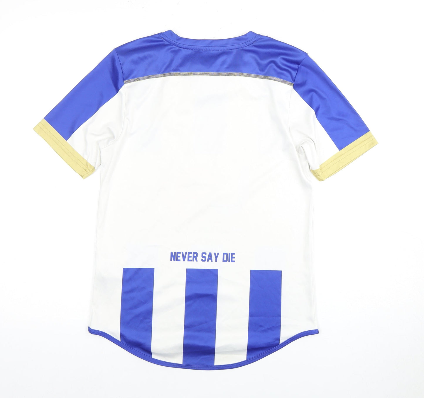 BLK Boys Blue and White Striped Football Jersey, Size 14