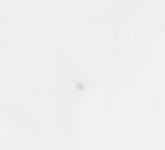 Quiz Women's Ivory Off Shoulder Bodysuit Size 12