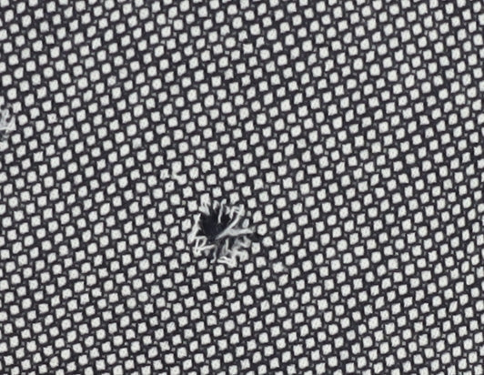 Viyella Women's Grey Long Blazer UK 12