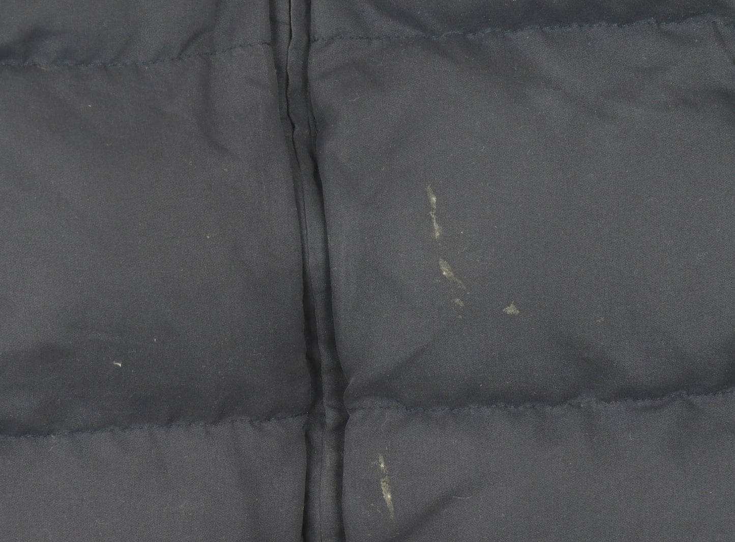 CAT Boys Blue Puffer Jacket Size 8 Years