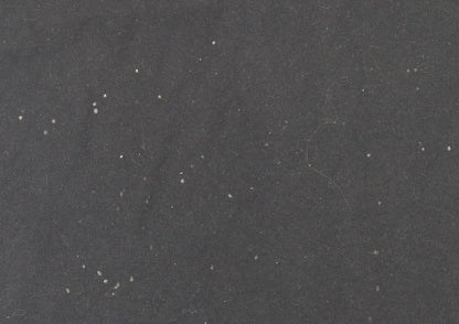 Regatta Men's Black Polo L Short Sleeve Casual