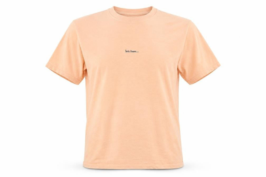 Front view of iets frans Men's Beige Crew Neck T-Shirt, size S