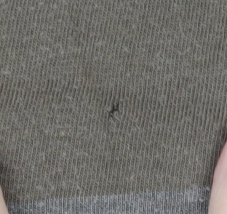 Schott Men's Brown Striped XL Polo Shirt