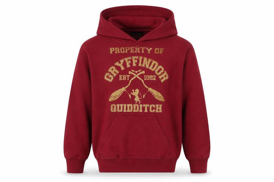Harry Potter Boys Red XS HGryffindor Pullover Hoodie