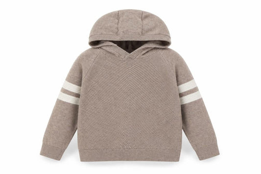 Next Boys Beige Striped Hoodie 2-3 Years Cotton Pullover