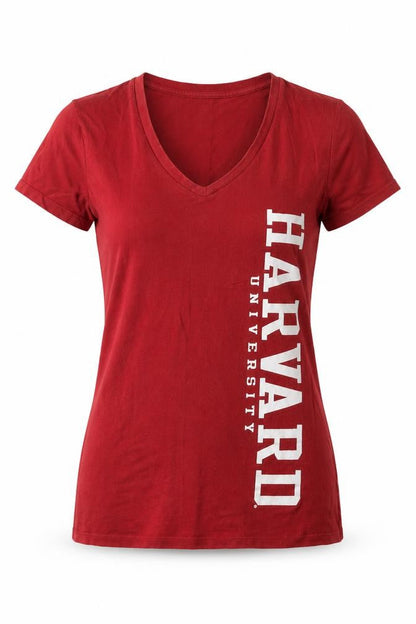 Womens UK Size M Champion Red Regular T-Shirt