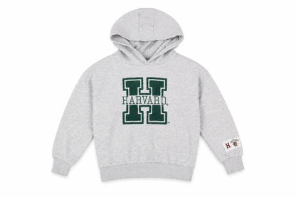 Harvard Boys Grey Pullover Hoodie Size 8-9 Years