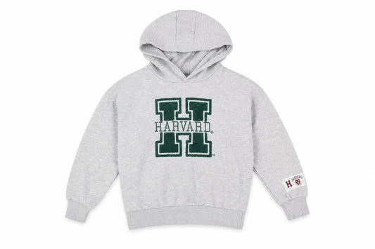 Harvard Boys Grey Pullover Hoodie Size 8-9 Years