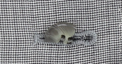 Austin Reed Women's Grey Blazer, Size 12, Classic Wool