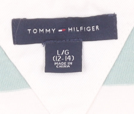 Tommy Hilfiger Boys Multicoloured Stripe Polo L 12-14