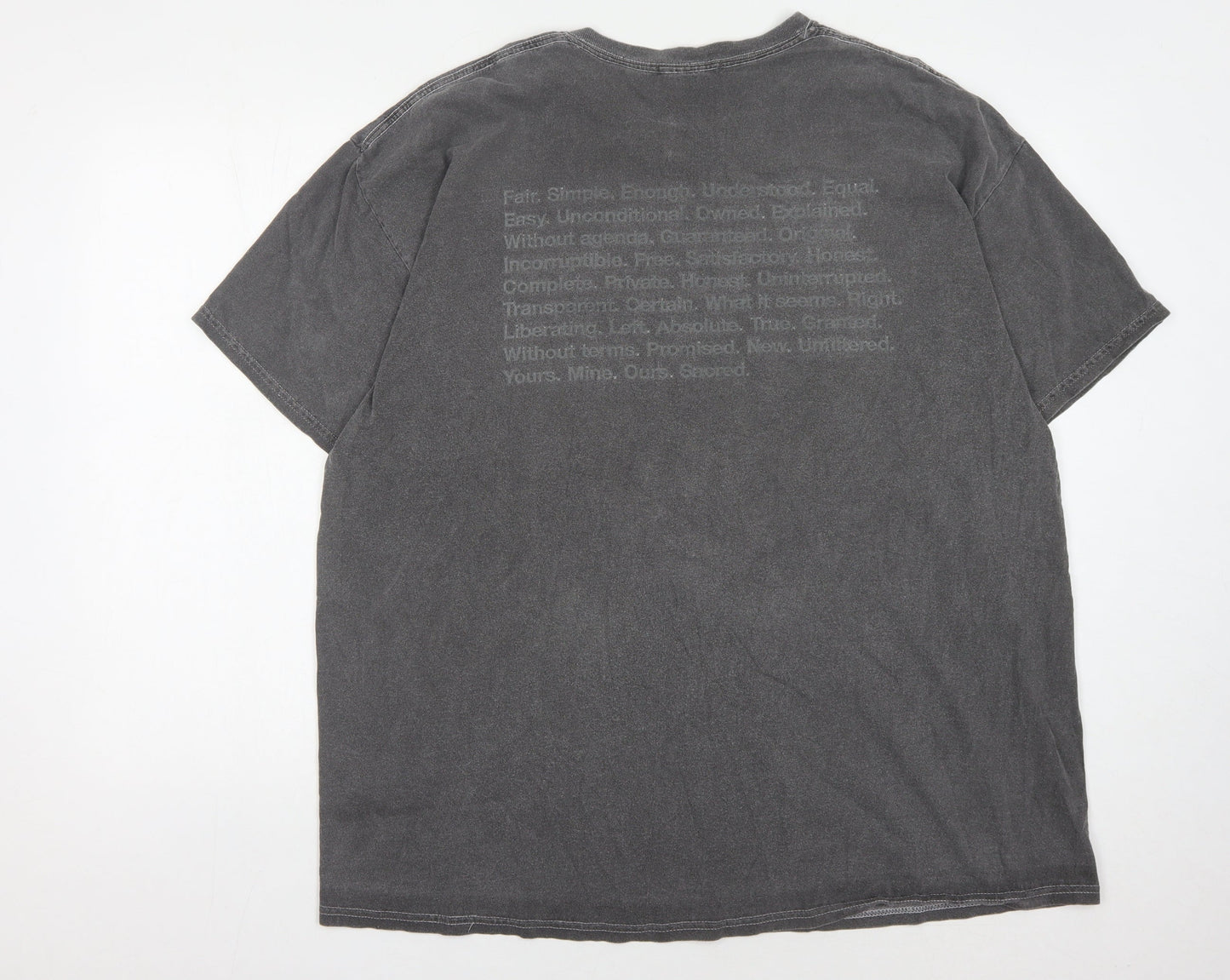 Nothing Is Sacred Men's Grey Crew Neck T-Shirt L