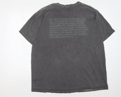 Nothing Is Sacred Men's Grey Crew Neck T-Shirt L