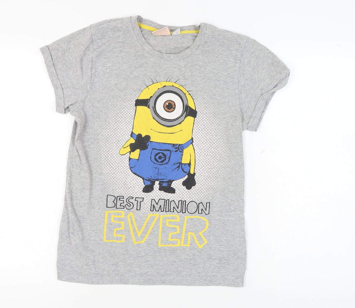 Womens UK Size S Despicable Me Grey Basic T-Shirt