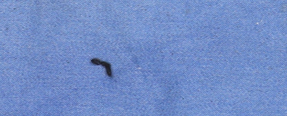 Dorothy Perkins Women's Blue Skinny Jeans Size S