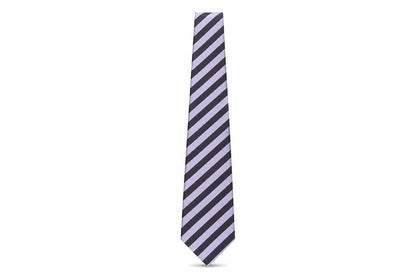 Mens Ted Baker Multicoloured Striped 100% Silk  Tie