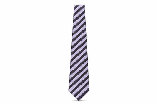 Mens Ted Baker Multicoloured Striped 100% Silk  Tie