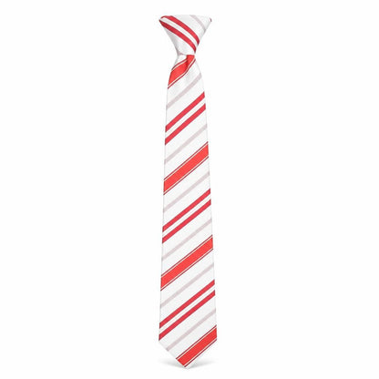 Danley Swarovske Men's Red Striped Silk Tie