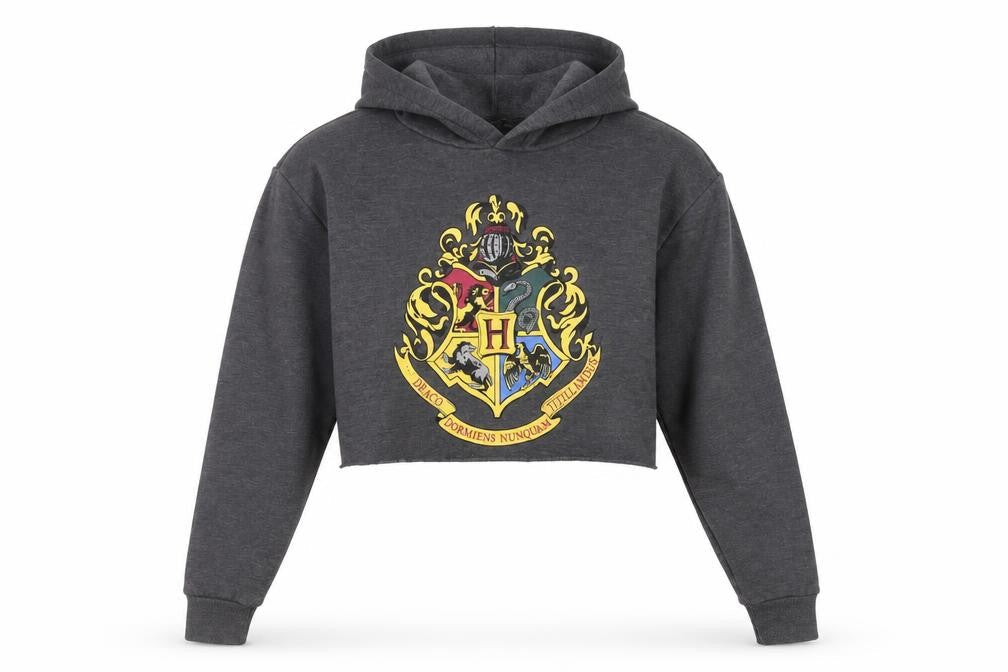 Womens UK Size L Harry Potter Grey Pullover Hoodie