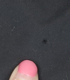 Reebok Black Women's Track Pants - Size 12, Athleisure Style